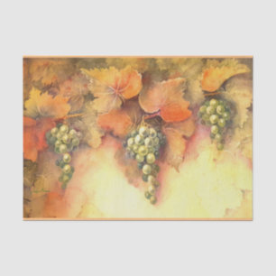 Tissue of Chardonnay Grapes Tissue Seidenpapier