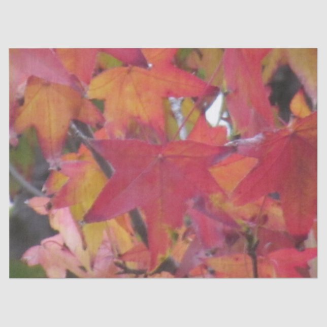 Tissue Paper - Autumn Leaves Seidenpapier (Vorderseite)