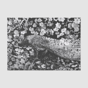Tissue Paper BLACK AND WHITE PEACOCK Seidenpapier