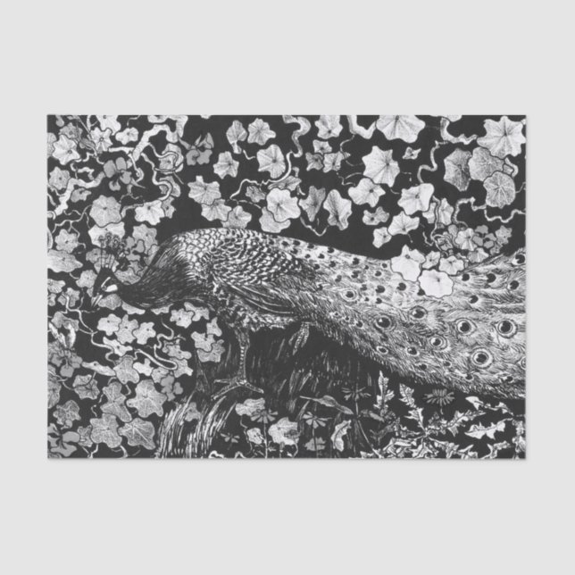 Tissue Paper BLACK AND WHITE PEACOCK Seidenpapier (Vorderseite)