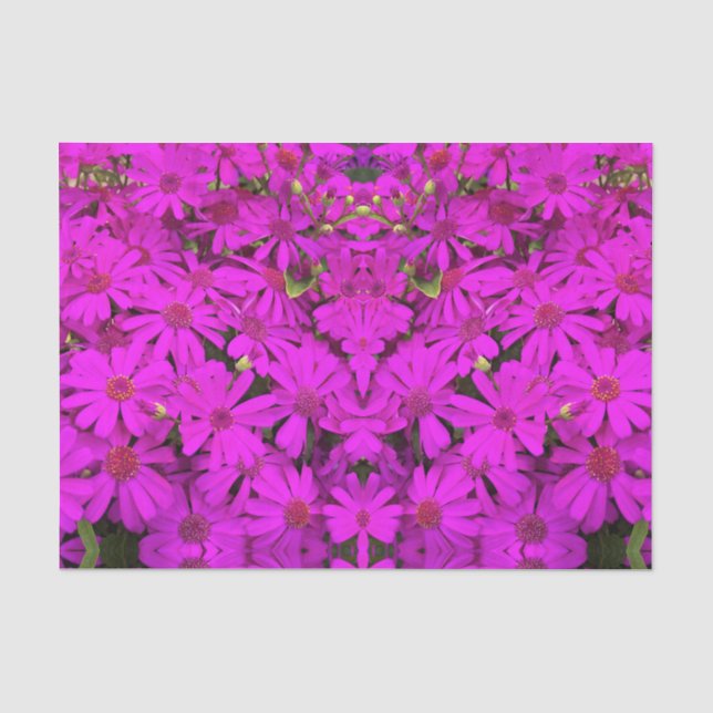 Tissue Paper Bright Pink/Lila Daisis Seidenpapier (Vorderseite)
