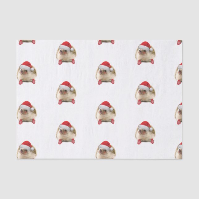 Tissue Paper zum Holiday Igel Seidenpapier (Vorderseite)