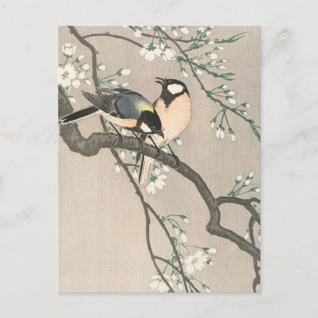 Tit auf Cherry Branch Painting von Ohara Koson Postkarte (Vorderseite)