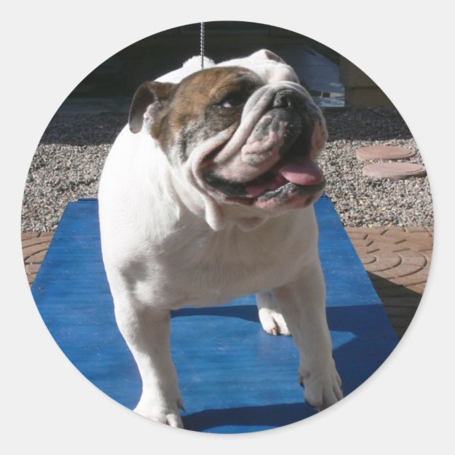 Titan Aufkleber (Vorderseite)