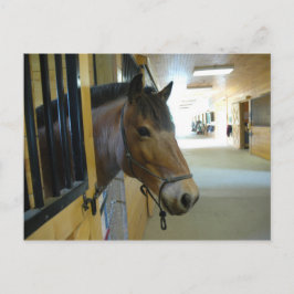 Titan Postcard Postkarte