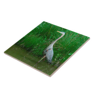 TITEL "BLAUE HERON STEHEND IN POND" (FOTOG) FLIESE