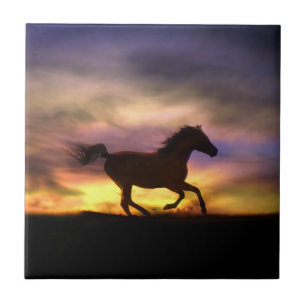 Titel "Pferde" Fliese