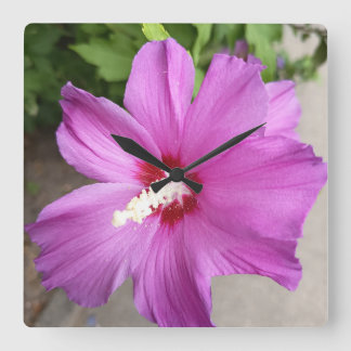 Titel Rosa Hibiskusblüten-Blumen-Natur-Uhr Quadratische Wanduhr