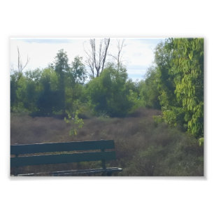 Titel: „Stille Bank in einer wilden Naturlandschaf Fotodruck