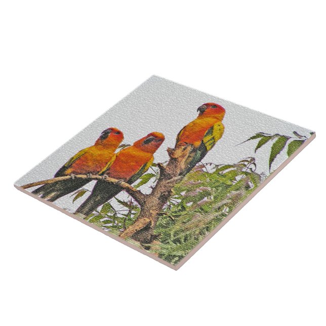 TITEL/TRIVET, DREI ORANGE PARROTS (DIGITALES MANIP FLIESE (Seite)