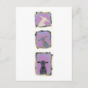 Titel: Weiße Schafe, graue Schafe, schwarze Schaf Postkarte