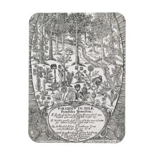 Titelblatt 'von der Paradisi Sohle; Paradisus Magnet