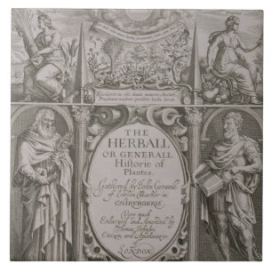 Titelblatt zur zweiten Ausgabe 'des Herball Fliese