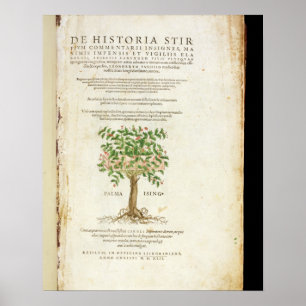 Titelseite von "De Historia Stirpium Commentarii Poster