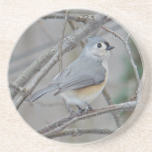 Titmaus (Baeolophus bicolor)-Elemente Getränkeuntersetzer