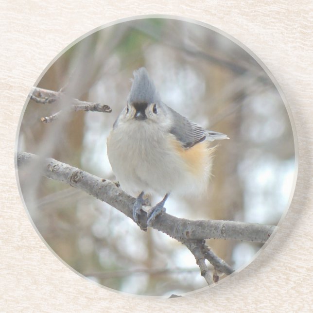 Titmaus (Baeolophus bicolor)-Elemente Sandstein Untersetzer (Vorne)