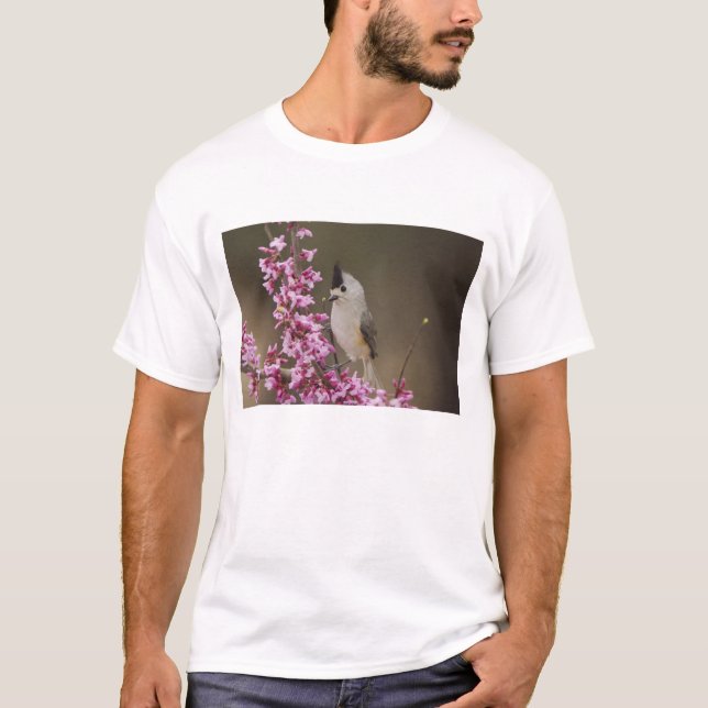 Titmaus, schwarz, Baeolophus T-Shirt (Vorderseite)