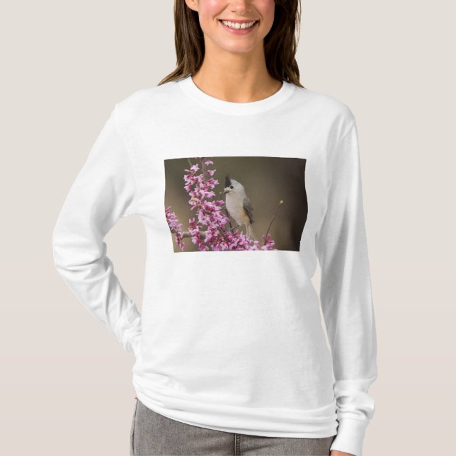 Titmaus, schwarz, Baeolophus T-Shirt (Vorderseite)