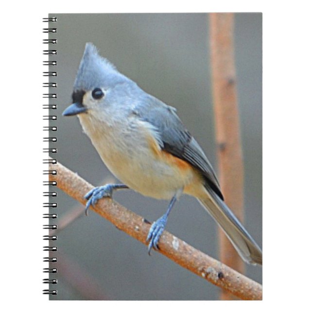 TitmausNotebook Notizblock (Vorderseite)