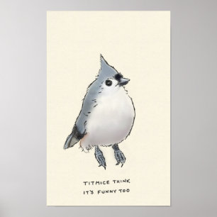 Titmice-Lappalien Poster