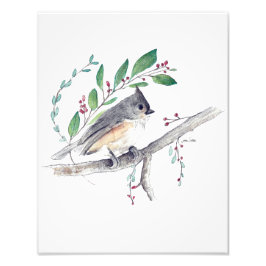 Titmouse Bird Art Foto Print