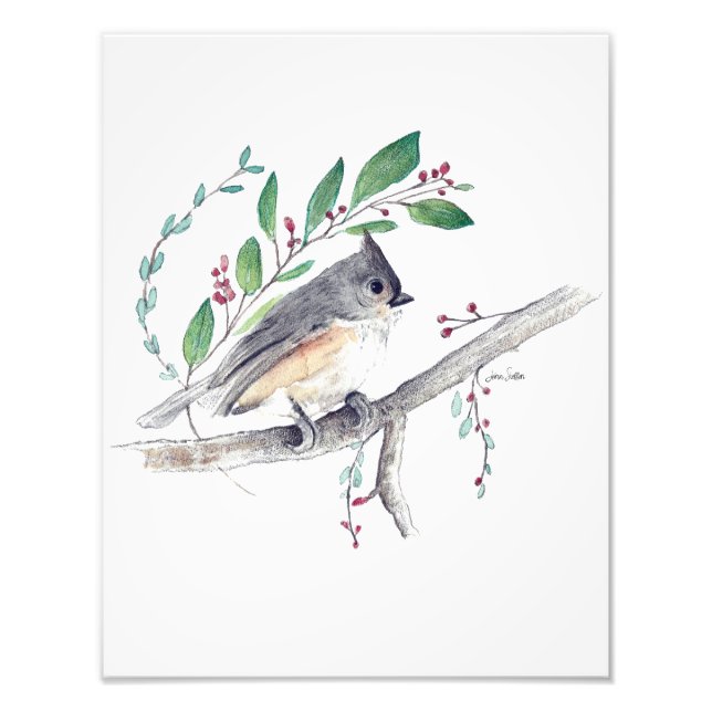 Titmouse Bird Art Foto Print (Vorne)