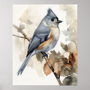 Titmouse Bird Art Print Poster