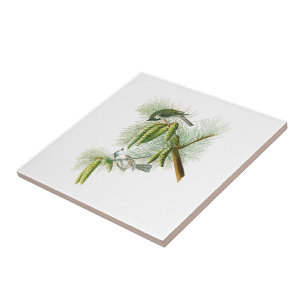 Titmouse-John James Audubon-Vögel mit Haube Fliese