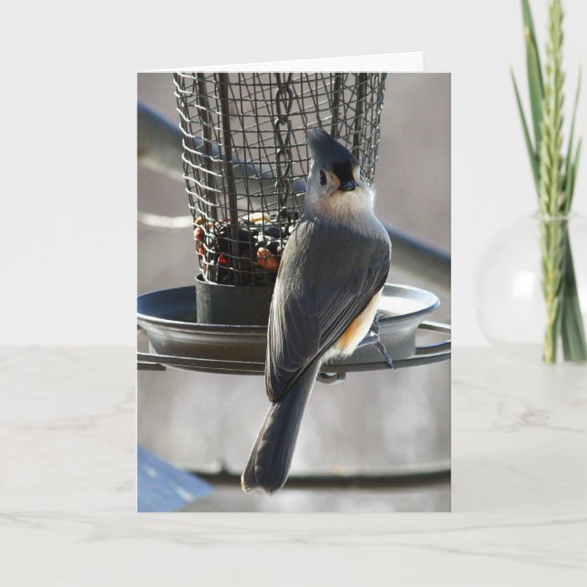 Titmouse Karte (Vorderseite)