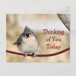 Titmouse Postcard leer - passen Sie jede Gelegenhe Postkarte