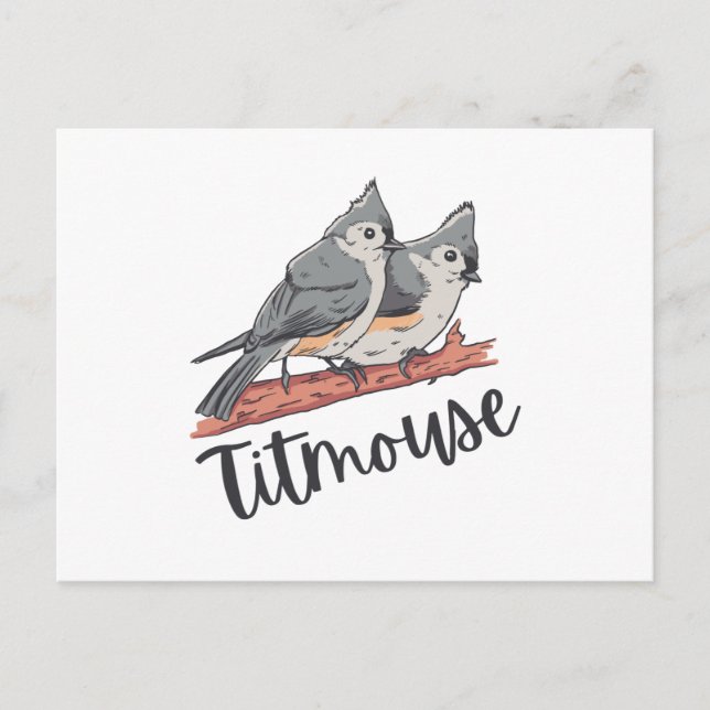 Titmouse Tufted Titmice Niedlich Bird Gift Postkarte (Vorderseite)