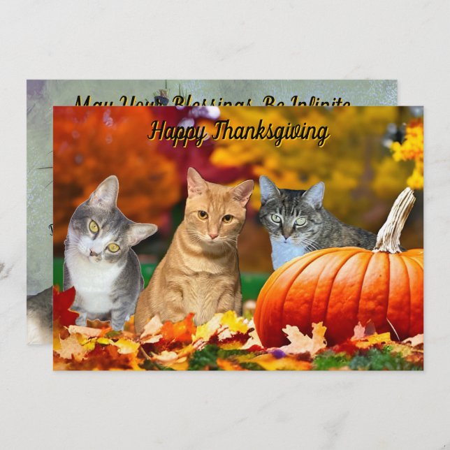Tito, Taz, and Annie's 2025 Thanksgiving Flat Card (Vorne/Hinten)