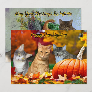 Tito, Taz und Annies 2025 Thanksgiving Flat Card