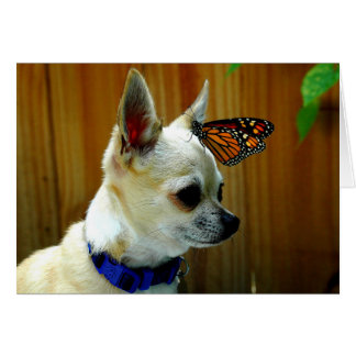 Tito und die Monarchkarte