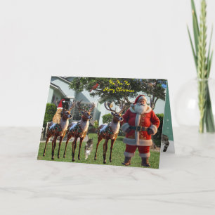 Titos Traum für 2025 - Ein weißes Weihnachten