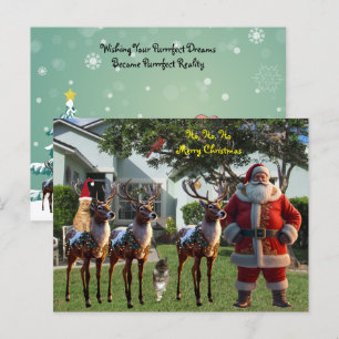 Titos Traum für 2025 - Ein weißes Weihnachten