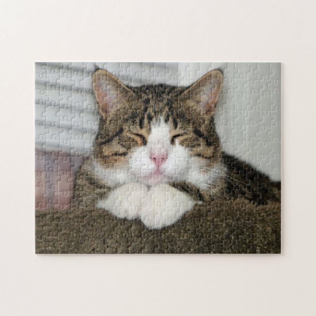 TJ PUZZLE (Horizontal)