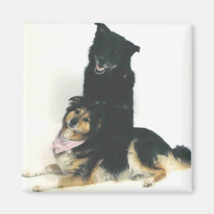 TK und Ka'vik Magnet