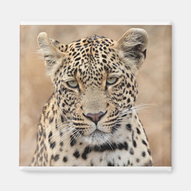 Tlalamaba Prinzessin von Djume Magnet (Vorne)