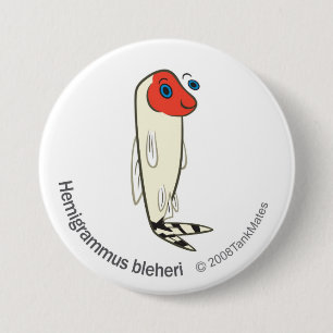 TM-06-Hemigrammus bleheri Button