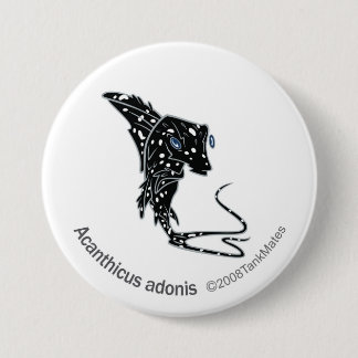 TM-09-Acanthicus Adonis Button