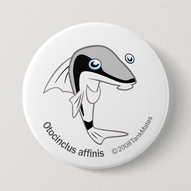 TM-15-Otacinclus affinis Button (Vorderseite)