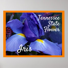 TN Iris Poster Tennessee Staat Blume