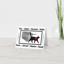 TNR Cat Rescue Trap Neuter Return Adoptier Volunte