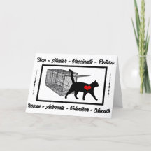 TNR Cat Rescue Trap Neuter Return Adoptier Volunte