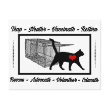 TNR Cat Rescue Trap Neuter Return Adoptier Volunte