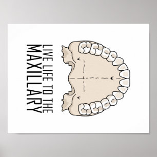 "To Maxillary"-Poster Poster