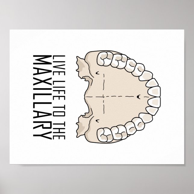 "To Maxillary"-Poster Poster (Vorne)