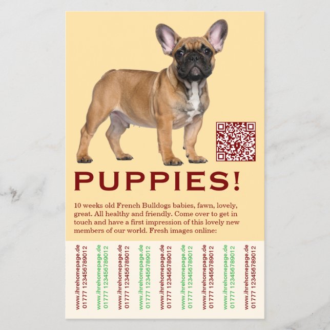 To sell Frenchies Puppy Flyer (Vorne)