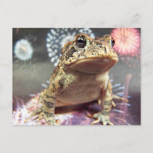 Toad frosch stehend vor Feuerwerk Hintergrund Postkarte